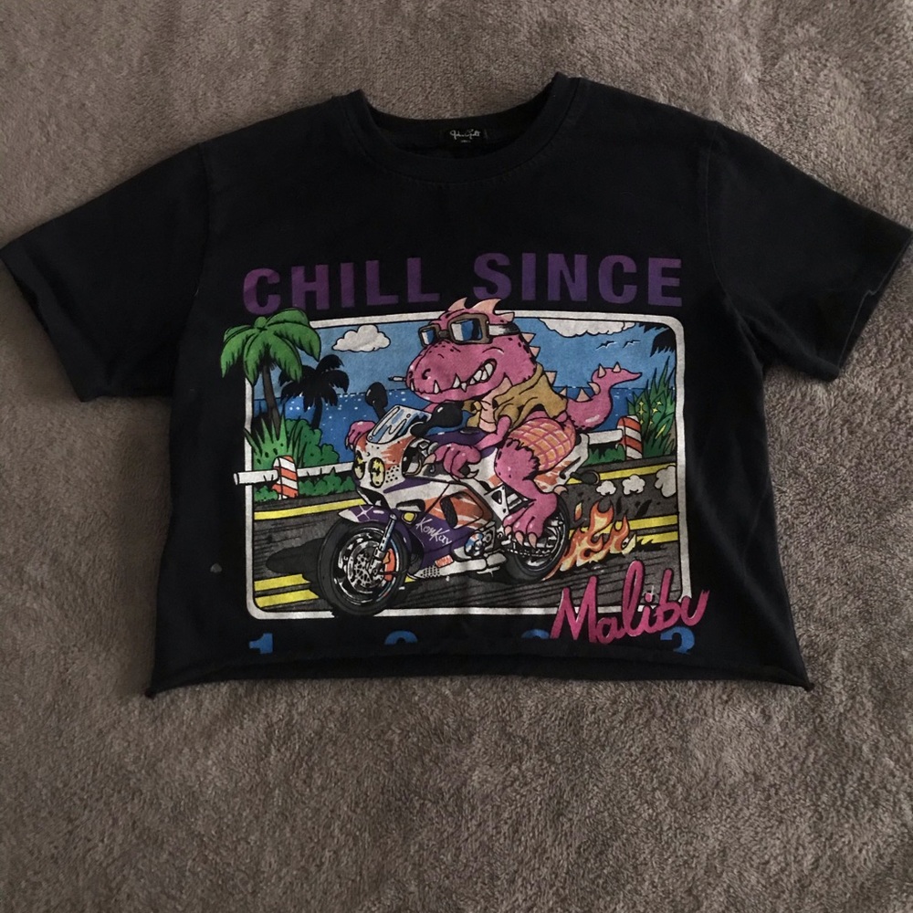 Chill Since 1993 Brandy Melville Cropped T-Shirt